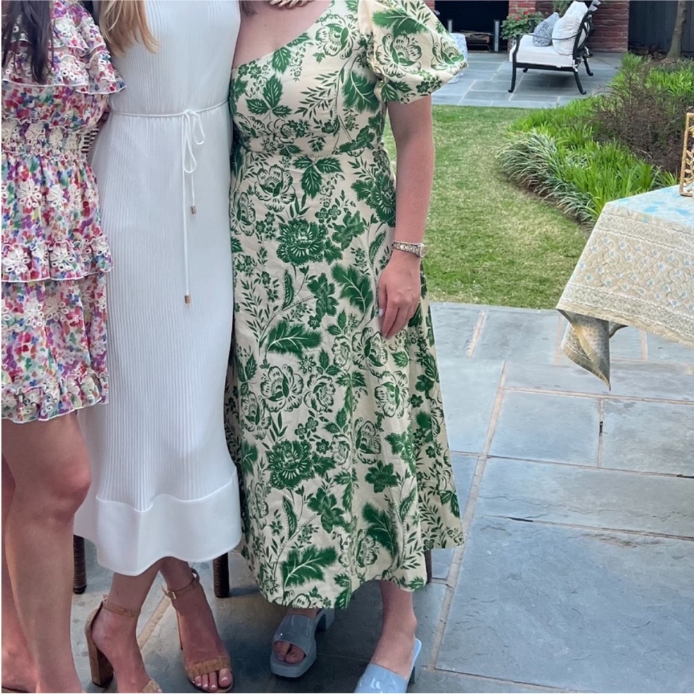 Hunter Bell Magnolia Dress Green Gardens Sz 2 - Picture 3 of 15